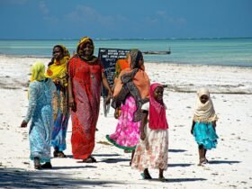 Que Moeda Levar Para Zanzibar