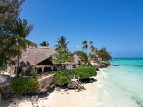 Descubra a Beleza de Zanzibar e Tanzânia